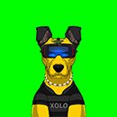 Xolo NFT Art 3